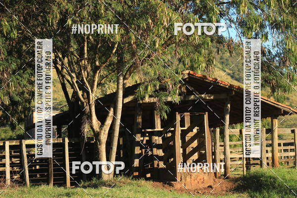 Compra tus fotos del eventoWolf Series - Botucatu En Fotop