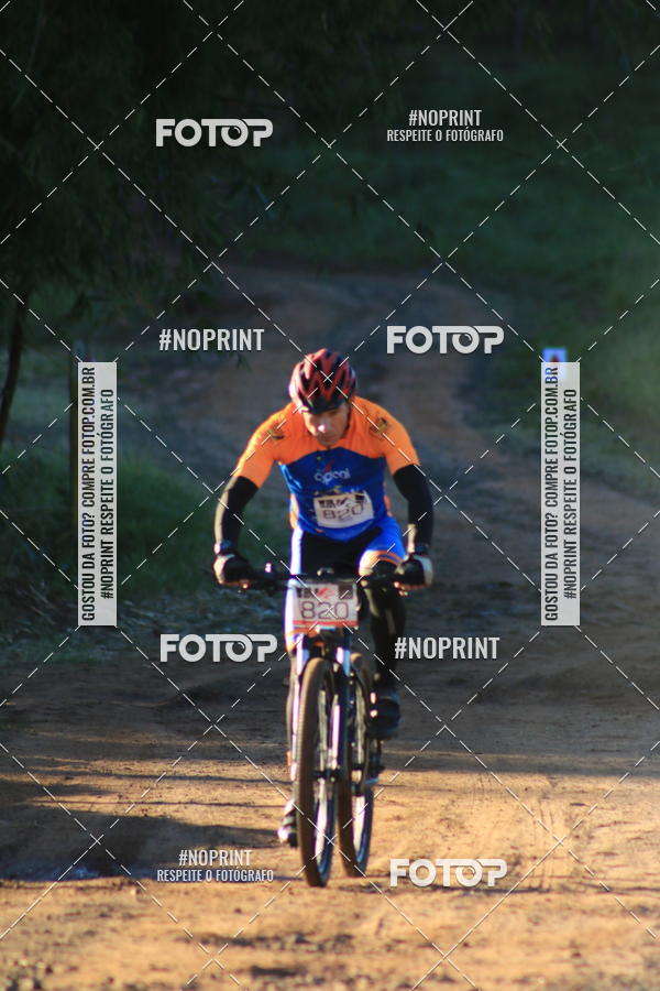 Buy your photos of the eventWolf Series - Botucatu on Fotop