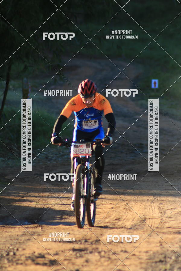 Buy your photos of the eventWolf Series - Botucatu on Fotop