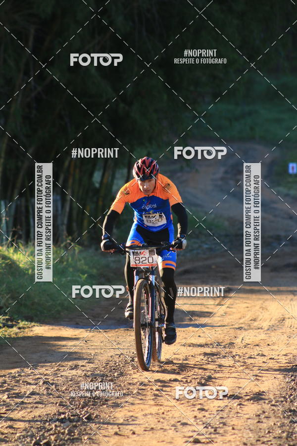 Buy your photos of the eventWolf Series - Botucatu on Fotop