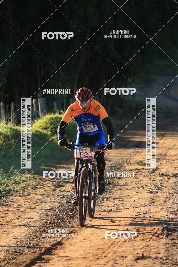 Buy your photos of the eventWolf Series - Botucatu on Fotop