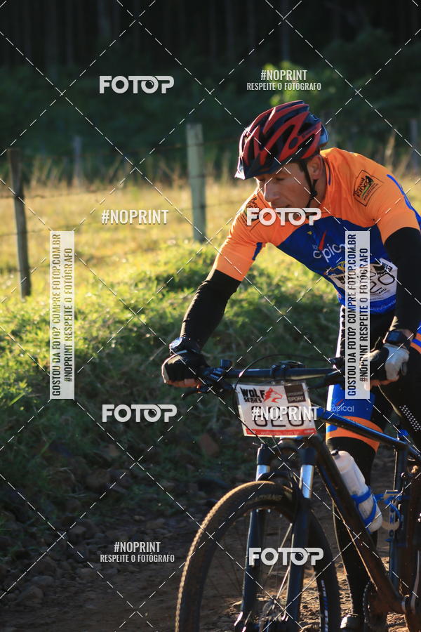 Buy your photos of the eventWolf Series - Botucatu on Fotop