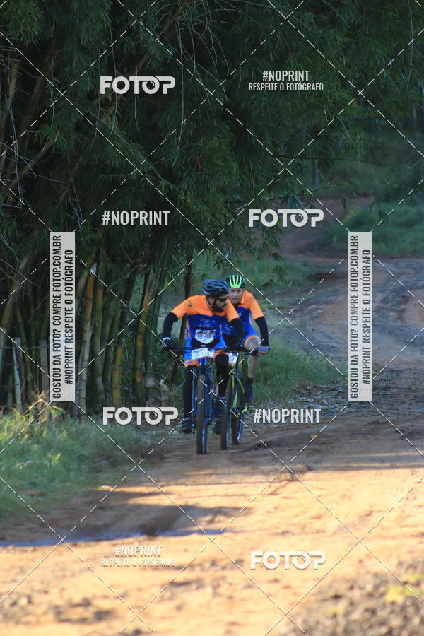 Buy your photos of the eventWolf Series - Botucatu on Fotop