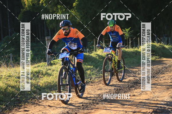 Buy your photos of the eventWolf Series - Botucatu on Fotop