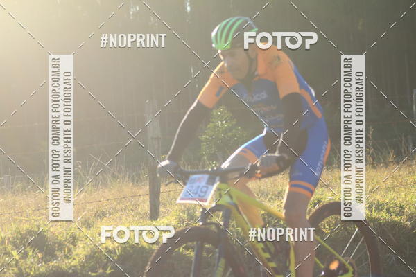 Buy your photos of the eventWolf Series - Botucatu on Fotop