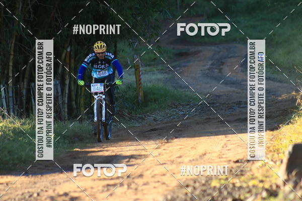 Buy your photos of the eventWolf Series - Botucatu on Fotop