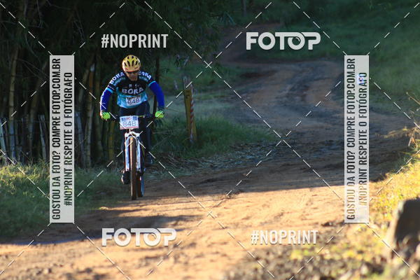 Buy your photos of the eventWolf Series - Botucatu on Fotop