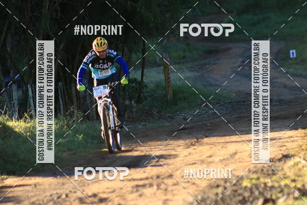 Buy your photos of the eventWolf Series - Botucatu on Fotop