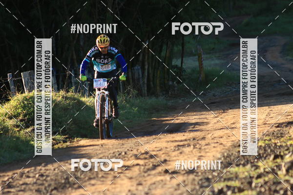 Buy your photos of the eventWolf Series - Botucatu on Fotop