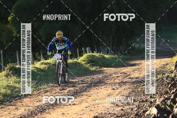 Buy your photos of the eventWolf Series - Botucatu on Fotop