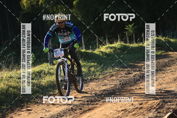 Buy your photos of the eventWolf Series - Botucatu on Fotop