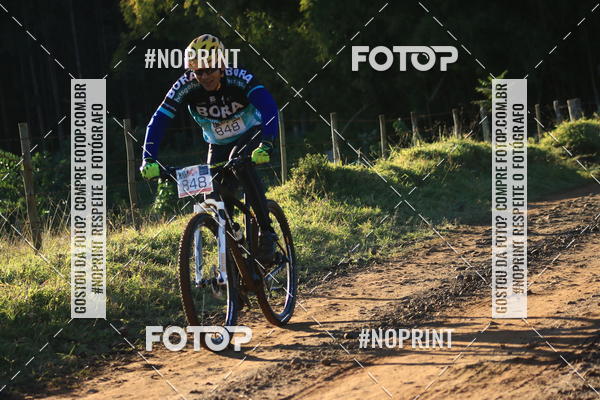 Buy your photos of the eventWolf Series - Botucatu on Fotop