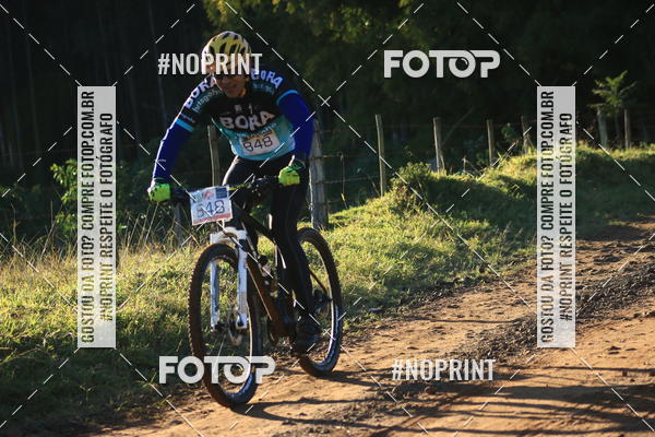 Buy your photos of the eventWolf Series - Botucatu on Fotop