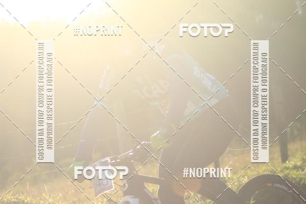 Buy your photos of the eventWolf Series - Botucatu on Fotop