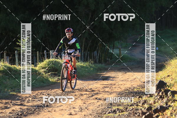 Buy your photos of the eventWolf Series - Botucatu on Fotop