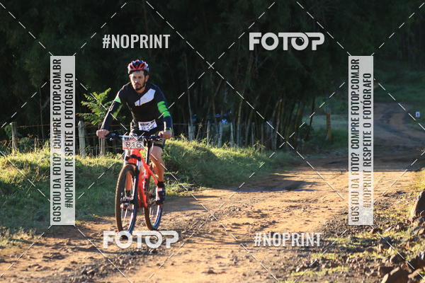 Buy your photos of the eventWolf Series - Botucatu on Fotop