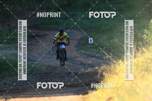 Buy your photos of the eventWolf Series - Botucatu on Fotop