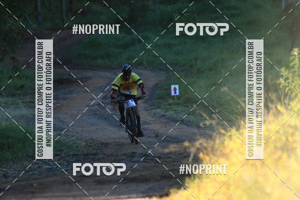 Buy your photos of the eventWolf Series - Botucatu on Fotop