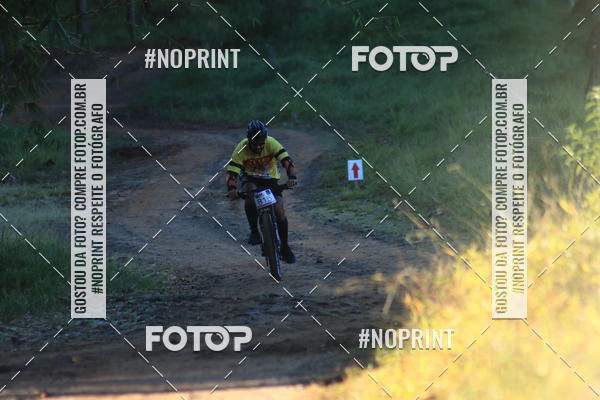 Buy your photos of the eventWolf Series - Botucatu on Fotop