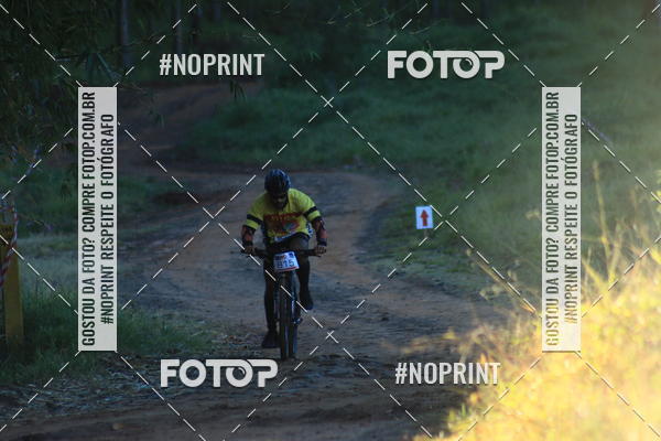 Buy your photos of the eventWolf Series - Botucatu on Fotop