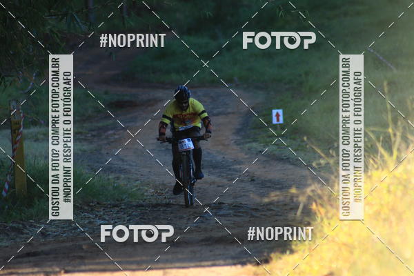 Buy your photos of the eventWolf Series - Botucatu on Fotop