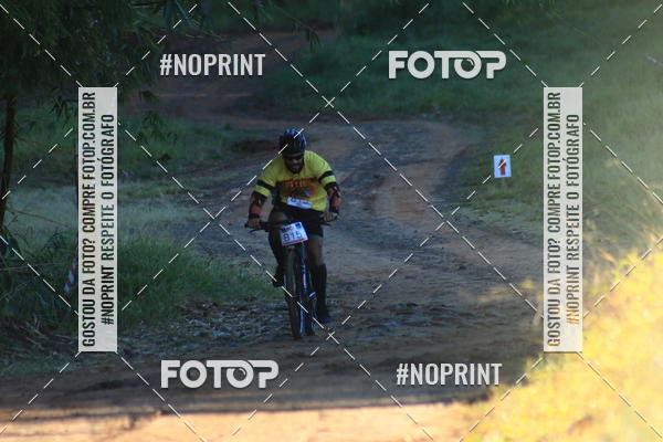 Buy your photos of the eventWolf Series - Botucatu on Fotop