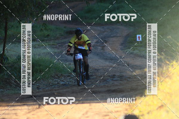 Buy your photos of the eventWolf Series - Botucatu on Fotop