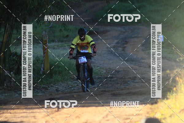 Buy your photos of the eventWolf Series - Botucatu on Fotop