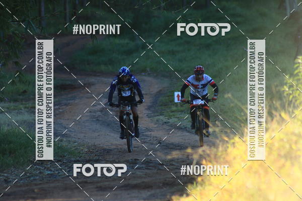 Buy your photos of the eventWolf Series - Botucatu on Fotop