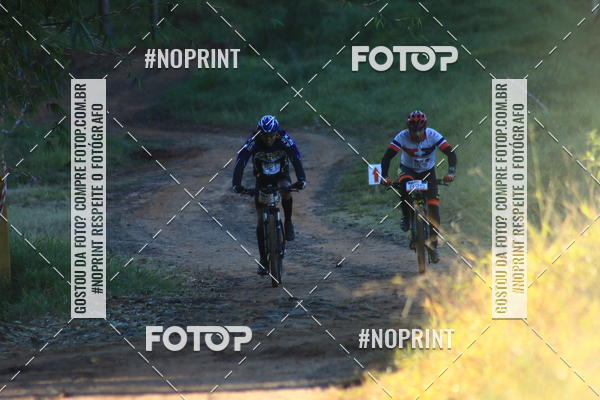 Buy your photos of the eventWolf Series - Botucatu on Fotop