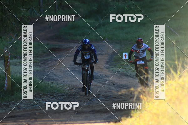 Buy your photos of the eventWolf Series - Botucatu on Fotop