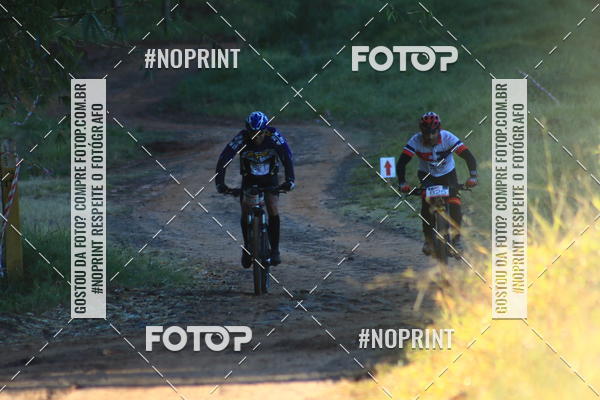 Buy your photos of the eventWolf Series - Botucatu on Fotop