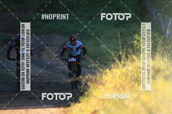 Buy your photos of the eventWolf Series - Botucatu on Fotop