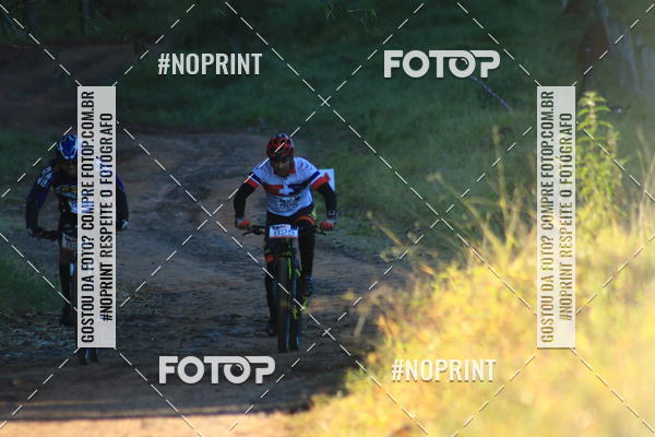 Buy your photos of the eventWolf Series - Botucatu on Fotop