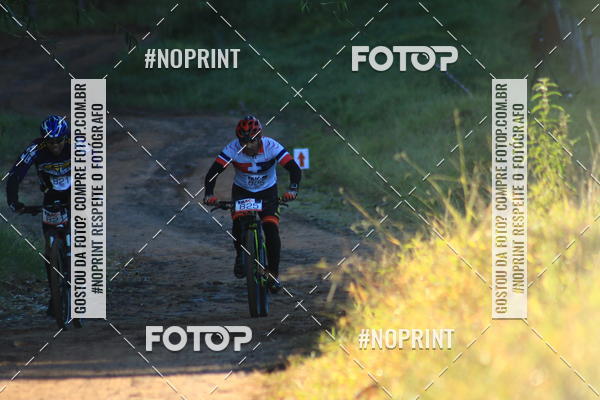 Buy your photos of the eventWolf Series - Botucatu on Fotop