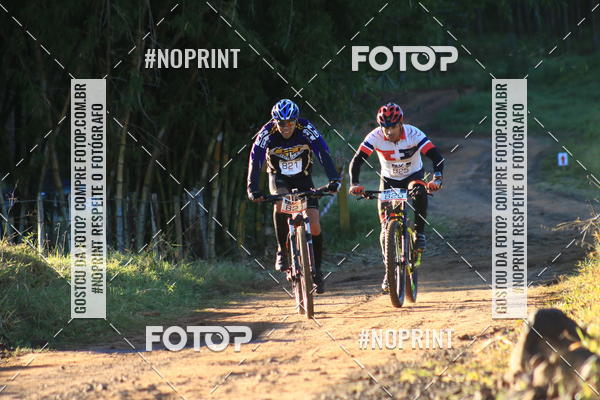 Buy your photos of the eventWolf Series - Botucatu on Fotop