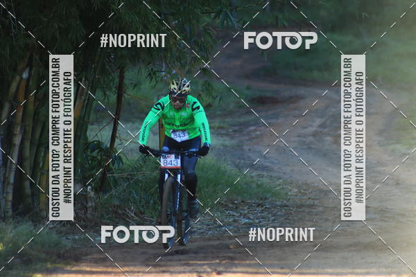 Buy your photos of the eventWolf Series - Botucatu on Fotop