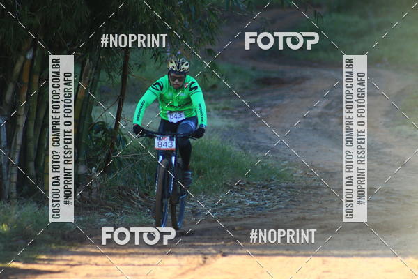 Buy your photos of the eventWolf Series - Botucatu on Fotop