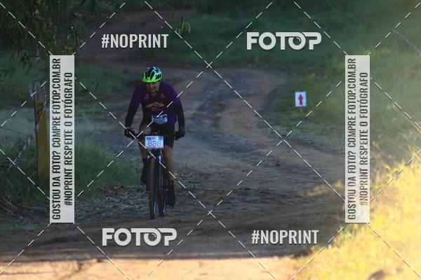 Buy your photos of the eventWolf Series - Botucatu on Fotop