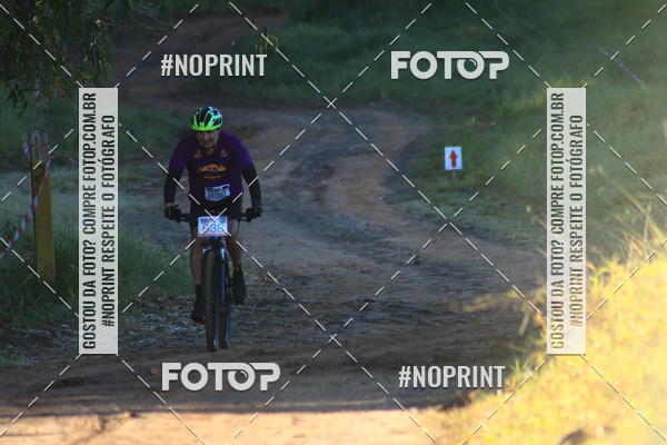 Buy your photos of the eventWolf Series - Botucatu on Fotop