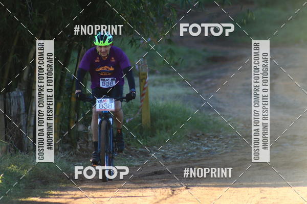 Buy your photos of the eventWolf Series - Botucatu on Fotop