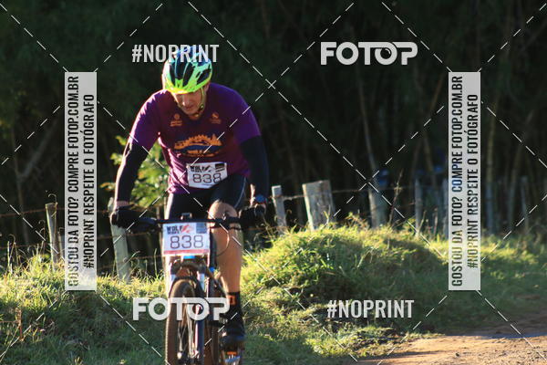 Buy your photos of the eventWolf Series - Botucatu on Fotop