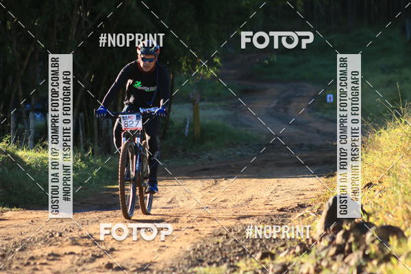 Buy your photos of the eventWolf Series - Botucatu on Fotop