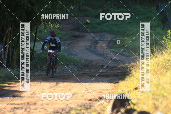 Buy your photos of the eventWolf Series - Botucatu on Fotop