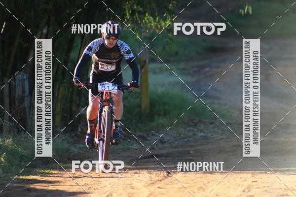 Buy your photos of the eventWolf Series - Botucatu on Fotop