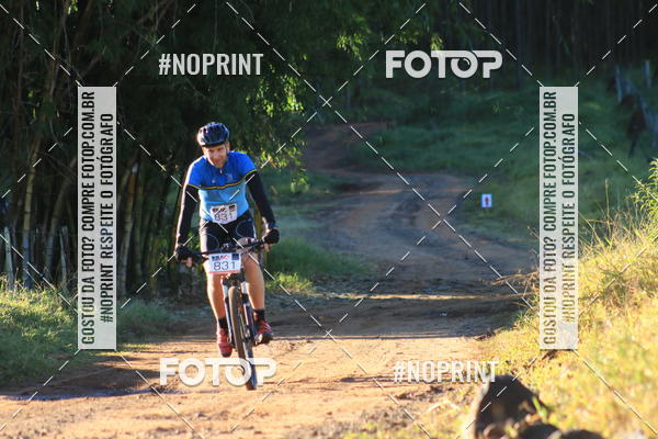 Buy your photos of the eventWolf Series - Botucatu on Fotop