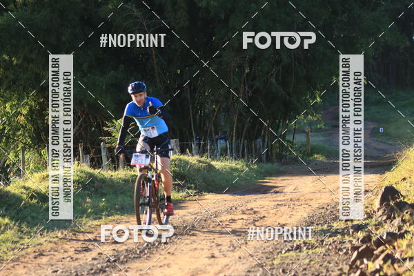 Buy your photos of the eventWolf Series - Botucatu on Fotop