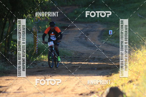 Buy your photos of the eventWolf Series - Botucatu on Fotop