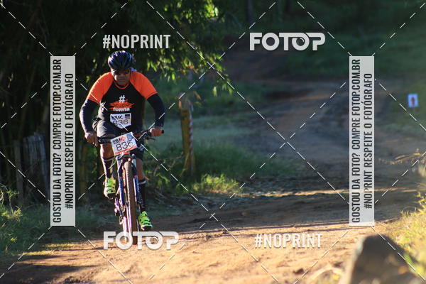 Buy your photos of the eventWolf Series - Botucatu on Fotop