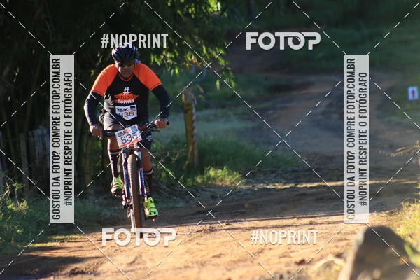 Buy your photos of the eventWolf Series - Botucatu on Fotop